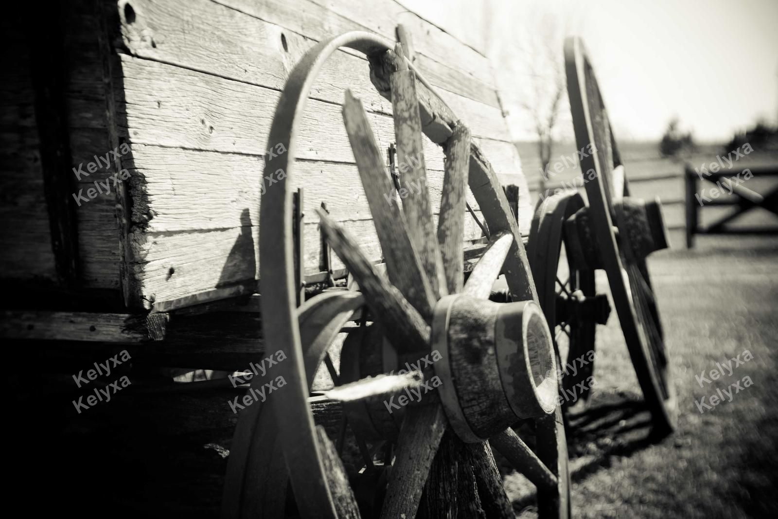Antique Wagon Wheels In Black And White