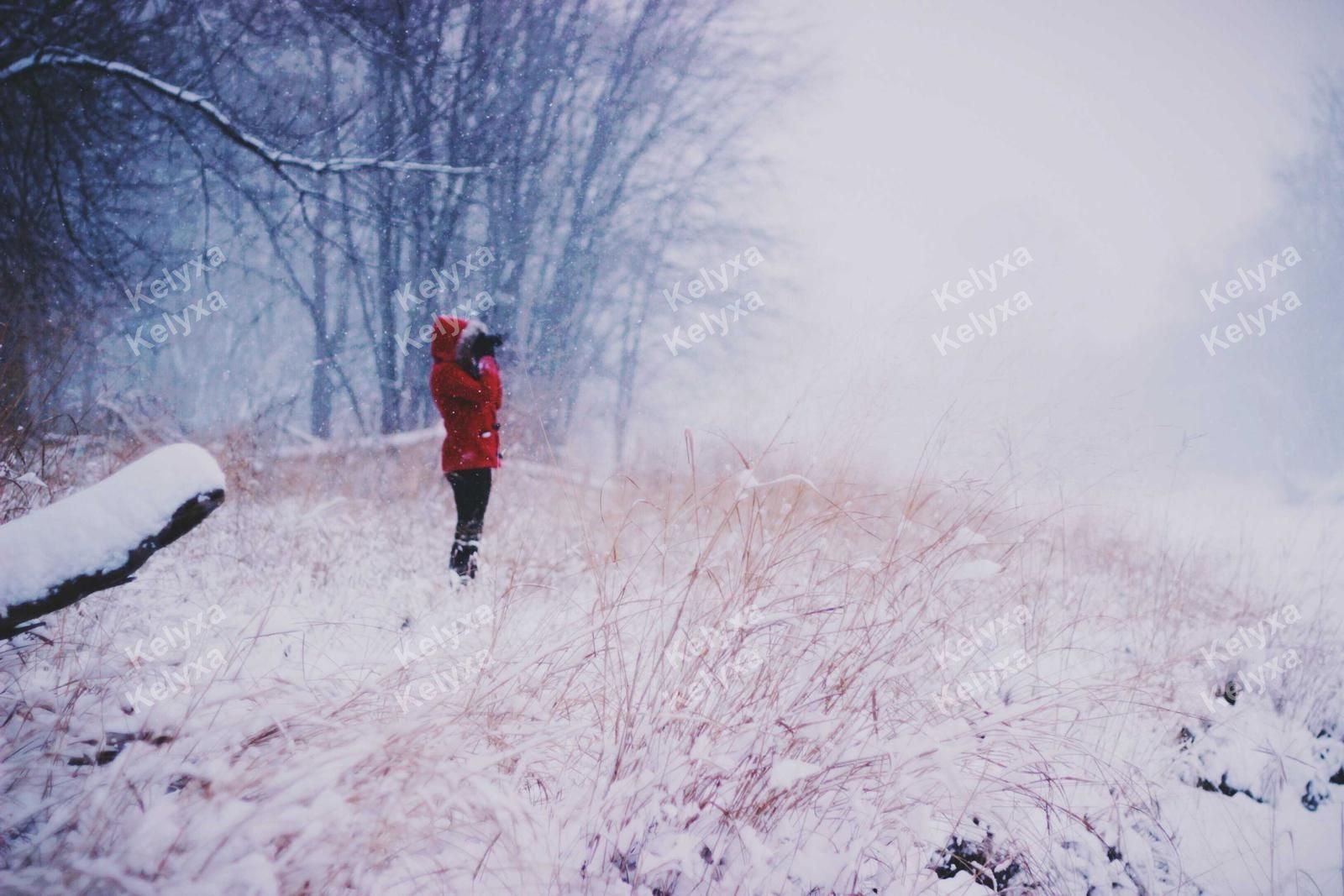 Figure In Red Coat In Snowstorm