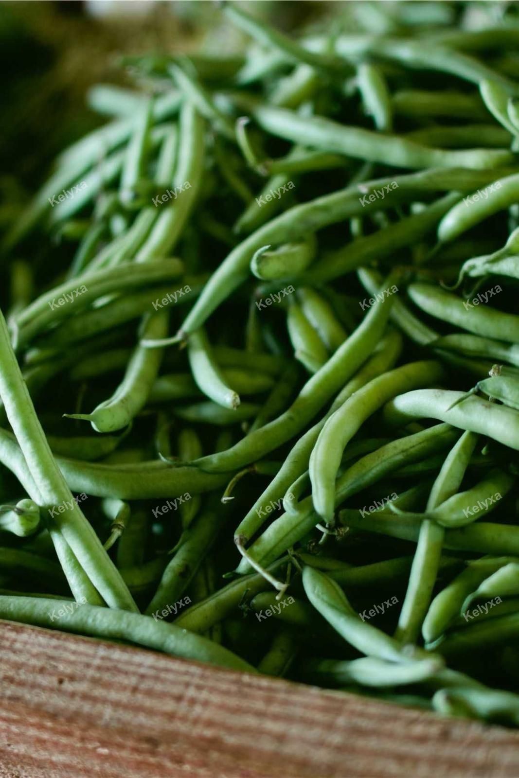 Fresh Green Beans In Crate