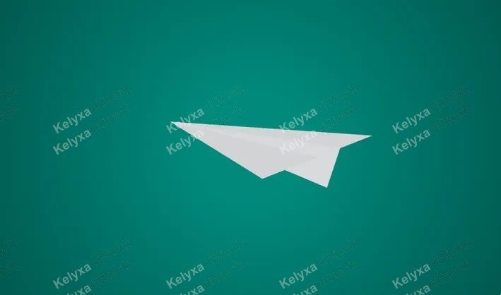 Paper airplane Printable 3D Model