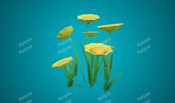 Desert marigold 3D Model