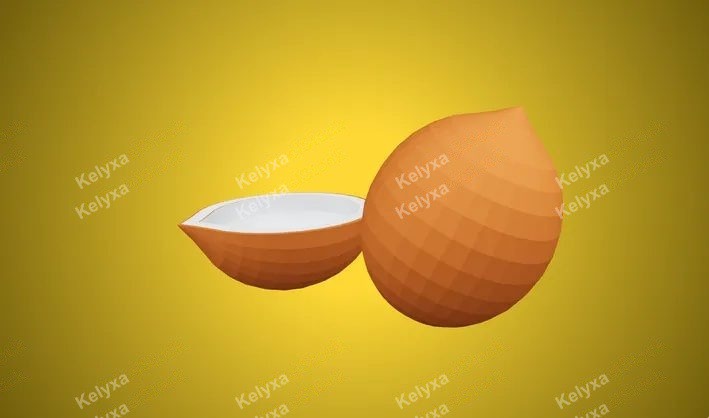 Coconut CAD Model