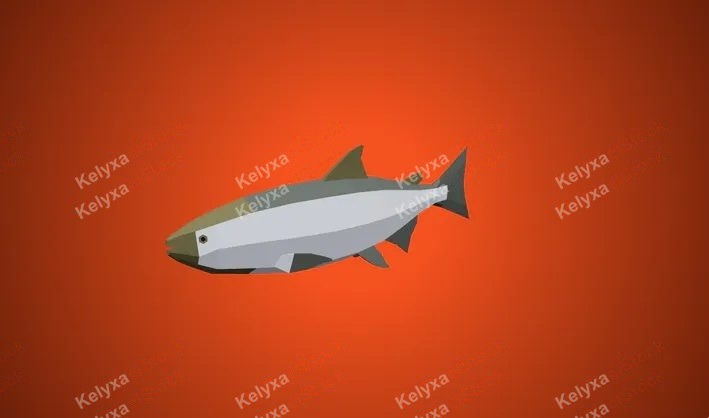 Fish 3D Model
