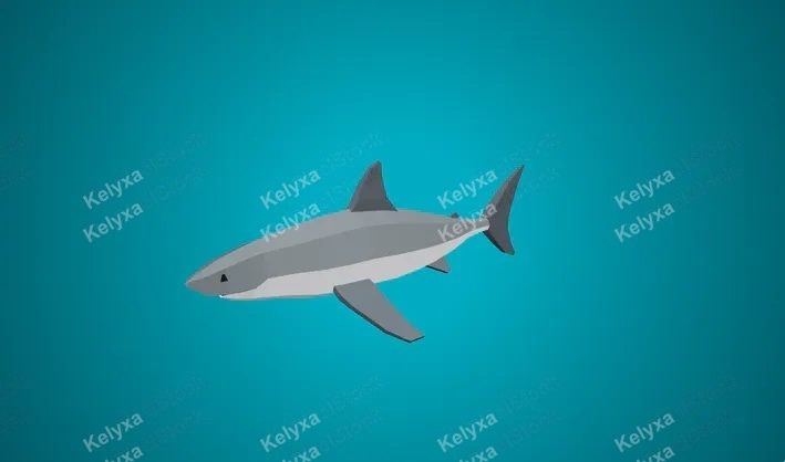Shark CAD Model