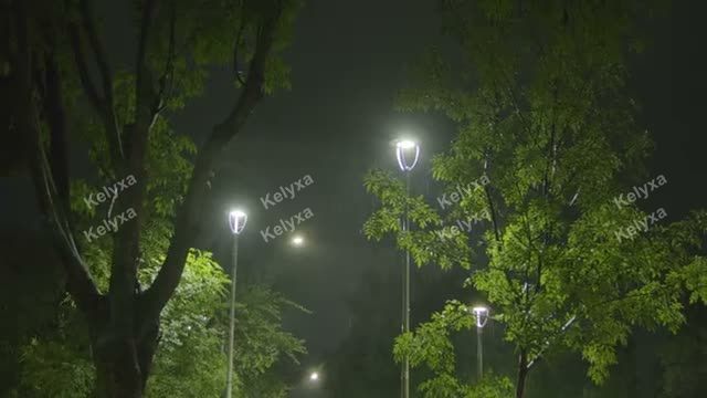 Park Lamps in Foggy Night