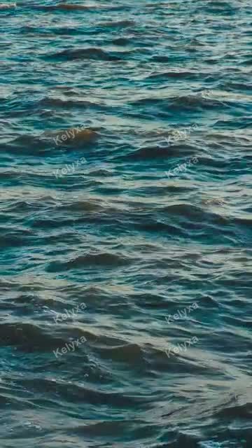 Rippling Ocean Water Surface
